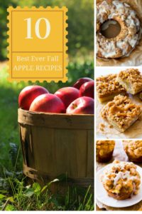 This is a list of 10 epically awesome fall apple recipes. 